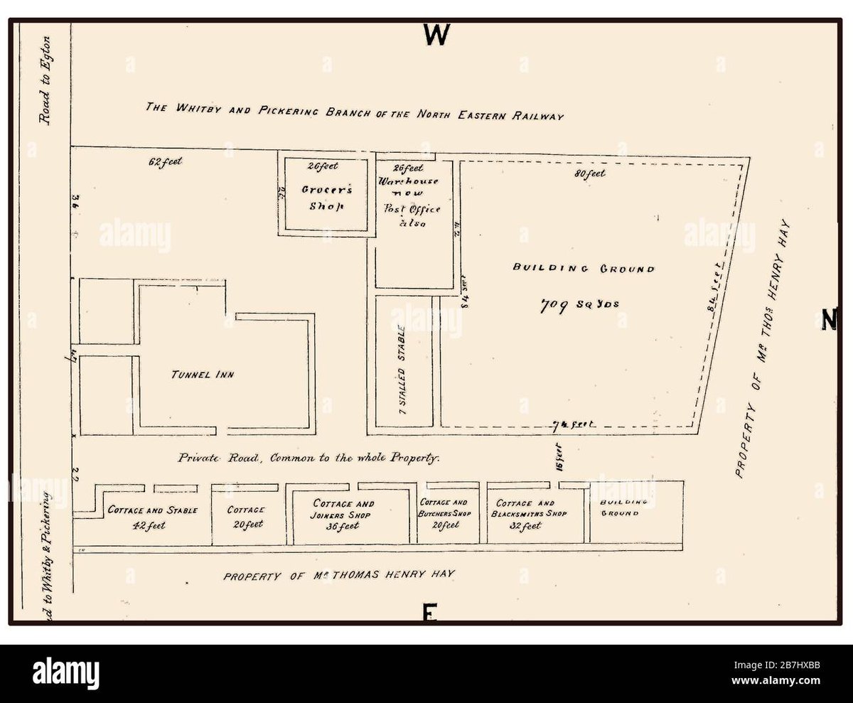 How Old Is Levi Ackerman, Humanitys Strongest Soldier?